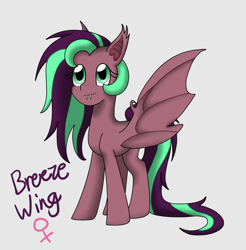 Size: 1024x1041 | Tagged: safe, artist:rosequartz1, imported from derpibooru, oc, oc only, oc:breeze wing, pony, vampony, cute, cute little fangs, fangs, female, gray background, mare, offspring, parent:big macintosh, parent:fluttershy, parents:fluttermac, simple background, solo, spread wings