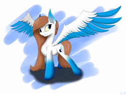 Size: 4000x3000 | Tagged: safe, artist:kirasunnight, imported from derpibooru, oc, oc only, pegasus, pony, female, mare, simple background, solo, spread wings, white background