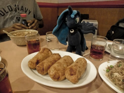 Size: 1280x961 | Tagged: artist needed, safe, artist:travelingluna, imported from derpibooru, princess luna, alicorn, human, pony, food, irl, irl human, photo, plushie, the traveling luna