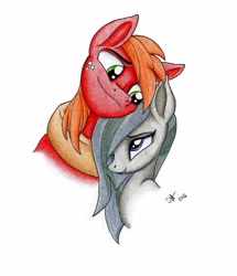 Size: 4352x5072 | Tagged: safe, artist:celestial-rainstorm, imported from derpibooru, big macintosh, marble pie, pony, absurd resolution, bust, hair over one eye, male, marblemac, portrait, shipping, straight, traditional art