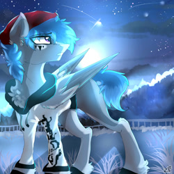 Size: 2000x2000 | Tagged: safe, artist:zaphyray, imported from derpibooru, oc, oc only, pegasus, pony, chest fluff, clothes, high res, hoodie, male, moon, night, solo, stallion