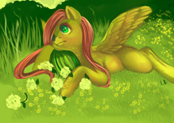 Size: 900x636 | Tagged: safe, artist:php154, artist:trojan-pony, imported from derpibooru, fluttershy, pony, female, flower, fluffy, grass, meadow, prone, solo