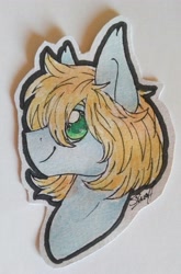 Size: 2443x3711 | Tagged: safe, artist:cloud-drawings, imported from derpibooru, oc, oc only, oc:shiro, pony, gift art, male, signature, simple background, smiling, solo, stallion, traditional art