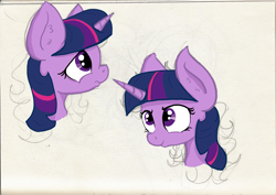 Size: 2107x1492 | Tagged: safe, artist:paskanaakka, derpibooru exclusive, imported from derpibooru, twilight sparkle, pony, bust, ear fluff, expressions, female, portrait, simple background, solo