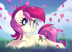 Size: 1280x914 | Tagged: dead source, safe, artist:drawntildawn, imported from derpibooru, roseluck, earth pony, pony, cloud, cute, female, flower petals, grass, mare, petals, prone, rose petals, sky, smiling, solo, watermark