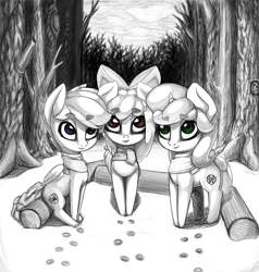 Size: 950x1000 | Tagged: safe, artist:limchph2, imported from derpibooru, apple bloom, scootaloo, sweetie belle, black and white, campfire, cutie mark crusaders, forest, grayscale, monochrome, snow