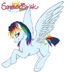 Size: 1138x1281 | Tagged: safe, artist:toastytoastie, imported from derpibooru, oc, oc only, oc:sunrise brisk, offspring, parent:rainbow dash, parent:soarin', parents:soarindash, solo