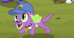 Size: 372x189 | Tagged: safe, imported from derpibooru, screencap, spike, spike the regular dog, dog, equestria girls, legend of everfree, cap, converse, hat, male, shoes, solo