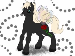 Size: 1024x768 | Tagged: safe, artist:iluvchedda, imported from derpibooru, oc, oc only, oc:shady heights, flutter pony, g2, solo