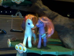 Size: 640x480 | Tagged: safe, artist:g3rainbowdash, imported from derpibooru, light heart, petal blossom, g2, irl, photo, toy