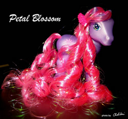 Size: 518x480 | Tagged: safe, artist:chelidoni, imported from derpibooru, petal blossom, g3, irl, petal blossom (g3), photo, solo, toy