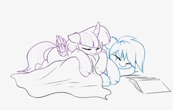 Size: 1200x764 | Tagged: safe, artist:elzzombie, imported from derpibooru, rainbow dash, twilight sparkle, alicorn, pony, blanket, book, female, lesbian, pony pillow, shipping, sleeping, twidash, twilight sparkle (alicorn)