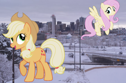 Size: 1280x852 | Tagged: safe, artist:90sigma, artist:laczkour, artist:logan859, imported from derpibooru, applejack, fluttershy, pony, colorado, denver, giant pony, highrise ponies, irl, macro, photo, ponies in real life