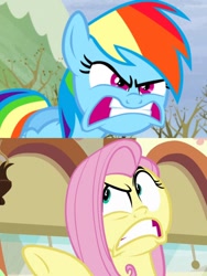 Size: 774x1032 | Tagged: safe, edit, edited screencap, imported from derpibooru, screencap, fluttershy, rainbow dash, buckball season, tanks for the memories, angry, comparison, do i look angry, pointing