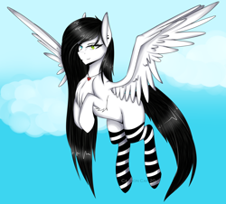 Size: 3992x3608 | Tagged: safe, artist:cannoncar, imported from derpibooru, oc, oc only, oc:oreo, pegasus, pony, art trade, chest fluff, clothes, cloud, ear piercing, female, heterochromia, jewelry, looking at you, mare, pendant, piercing, sky, smiling, socks, solo, spread wings, striped socks