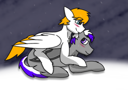 Size: 1021x719 | Tagged: safe, artist:snowstormbat, deleted from derpibooru, imported from derpibooru, oc, oc only, oc:hunter, oc:skybeats, bat pony, pegasus, pony, blushing, couple, cuddling, gay, male, smiling, snow, snuggling, stallion