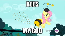 Size: 495x278 | Tagged: safe, edit, edited screencap, imported from derpibooru, screencap, fluttershy, bee, pegasus, pony, it ain't easy being breezies, animal costume, atop the fourth wall, batman, bee costume, bees my god, clothes, costume, female, flutterbee, linkara, mare