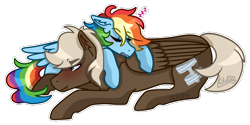 Size: 900x450 | Tagged: safe, artist:artistcoolpony, artist:kikirdcz, imported from derpibooru, dumbbell, rainbow dash, pony, blushing, dumbdash, male, pony pillow, prone, shipping, simple background, sleeping, straight, transparent background, zzz