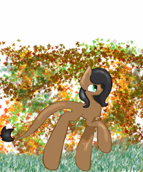 Size: 1800x2160 | Tagged: safe, artist:haillee, imported from derpibooru, oc, oc only, pony, the cutie map, autumn, dragon star, female, filly, grass, leaves, long tail, shading, solo