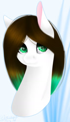 Size: 1045x1822 | Tagged: safe, artist:wika4007, imported from derpibooru, oc, oc only, pony, bust, female, mare, portrait, solo