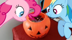 Size: 1046x588 | Tagged: safe, artist:dashiesparkle, artist:luckreza8, artist:thedoubledeuced, imported from derpibooru, pinkie pie, rainbow dash, bucket, candy, floating, food, halloween, irl, jack-o-lantern, looking in, photo, plastic, ponies in real life, pumpkin, pumpkin bucket, snickers, vector