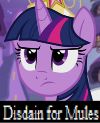 Size: 480x587 | Tagged: safe, edit, edited screencap, imported from derpibooru, screencap, twilight sparkle, alicorn, mule, pony, caption, crown, disdain, disdain for plebs, jewelry, meme, racism, reaction image, regalia, twilight sparkle (alicorn)