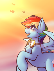 Size: 1280x1670 | Tagged: safe, artist:whitepone, imported from derpibooru, rainbow dash, pegasus, pony, blushing, chest fluff, female, goggles, raised hoof, solo