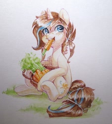 Size: 978x1080 | Tagged: safe, artist:aphphphphp, imported from derpibooru, oc, oc only, earth pony, pony, unicorn, basket, carrot, eating, food, herbivore, sitting, solo, traditional art, watercolor painting
