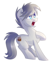 Size: 2236x2724 | Tagged: safe, artist:drawntildawn, imported from derpibooru, oc, oc only, earth pony, pony, male, simple background, solo, stallion, transparent background
