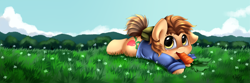 Size: 2500x833 | Tagged: safe, artist:pridark, imported from derpibooru, oc, oc only, earth pony, pony, carrot, clothes, flower, food, grass, looking at you, prone, shirt, solo
