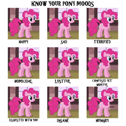 Size: 800x800 | Tagged: safe, imported from derpibooru, pinkie pie, garfield, moods
