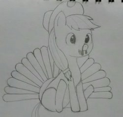 Size: 1280x1210 | Tagged: safe, artist:downhillcarver, artist:downhillcarver-art, imported from derpibooru, applejack, pony, turkey, female, pencil, pencil drawing, solo, thanksgiving, traditional art