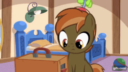 Size: 640x360 | Tagged: safe, artist:jan, imported from derpibooru, button mash, pony, button's adventures, animated, gif, i don't get it, male, reaction image, solo