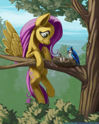 Size: 800x1000 | Tagged: safe, artist:lexx2dot0, imported from derpibooru, fluttershy, bird, pegasus, pony, bird nest, feeding, female, forest, looking at something, mouth hold, nest, scenery, solo, spread wings, tree, tree branch