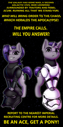 Size: 1800x3600 | Tagged: safe, artist:captainpudgemuffin, imported from derpibooru, oc, oc only, pony, unicorn, commission, crossover, duo, female, helmet, looking at you, male, mare, serious, serious face, smiling, stallion, star wars, stormtrooper, text