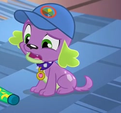 Size: 515x480 | Tagged: safe, imported from derpibooru, screencap, spike, spike the regular dog, dog, equestria girls, legend of everfree, cap, hat, looking down, male, solo, sunscreen