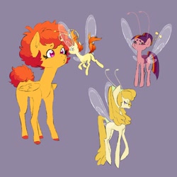 Size: 894x893 | Tagged: safe, artist:pikokko, imported from derpibooru, oc, oc only, oc:sunset sky, breezie, pegasus, pony, breezie oc, female, filly, offspring, parent:cheese sandwich, parent:rainbow dash, parents:cheesedash, purple background, simple background
