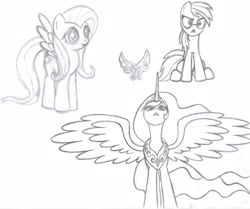 Size: 3054x2550 | Tagged: safe, artist:rmsaun98722, imported from derpibooru, fluttershy, princess celestia, rainbow dash, alicorn, pony, female, jewelry, mare, peytral, simple background, sketch, spread wings, traditional art, white background
