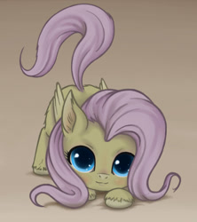 Size: 900x1013 | Tagged: safe, artist:zetamad, imported from derpibooru, fluttershy, pegasus, pony, behaving like a cat, cute, ear fluff, face down ass up, female, fluttercat, folded wings, looking at you, looking up, looking up at you, shyabetes, simple background, solo, unshorn fetlocks