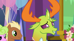 Size: 684x378 | Tagged: safe, imported from derpibooru, screencap, daisy, flower wishes, meadow song, thorax, changedling, pony, celestial advice, king thorax, solo focus, twilight's castle