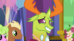 Size: 843x468 | Tagged: safe, imported from derpibooru, screencap, daisy, flower wishes, meadow song, thorax, changedling, pony, celestial advice, cute, cuteling, equestrian pink heart of courage, king thorax, more fun than it sounds, thorabetes, twilight's castle