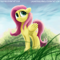 Size: 1000x1000 | Tagged: safe, artist:keepare, artist:lachasseauxhiboux, imported from derpibooru, fluttershy, female, folded wings, grass, looking away, looking up, solo, standing