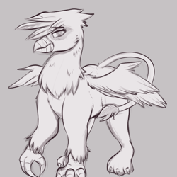 Size: 714x713 | Tagged: safe, artist:sugarlesspaints, imported from derpibooru, oc, oc only, griffon, grayscale, monochrome, sketch, solo