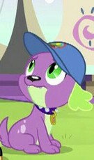 Size: 135x230 | Tagged: safe, imported from derpibooru, screencap, spike, spike the regular dog, dog, equestria girls, legend of everfree, cap, hat, looking up, male, paws, solo