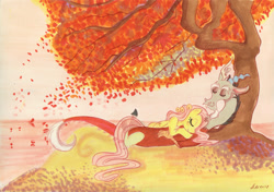 Size: 1000x702 | Tagged: safe, artist:praysforaprankster, imported from derpibooru, discord, fluttershy, draconequus, pegasus, pony, cuddling, discoshy, duo, eyes closed, female, male, shipping, sleeping, smiling, straight, tree, under the tree