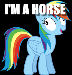 Size: 873x915 | Tagged: safe, imported from derpibooru, rainbow dash, pegasus, pony, black background, captain obvious, derp, female, image macro, mare, meme, open mouth, simple background, smiling, solo, wide eyes, you don't say