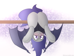 Size: 1280x977 | Tagged: safe, artist:n0nnny, imported from derpibooru, oc, oc only, oc:dusk rhine, bat pony, pony, blushing, butt, clothes, cute, fangs, glasses, hanging, happy, hoodie, looking at you, male, plot, smiling, solo, stallion, upside down