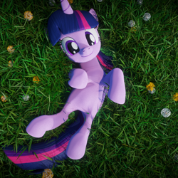 Size: 900x900 | Tagged: safe, artist:galawaille, imported from derpibooru, twilight sparkle, alicorn, pony, 3d, bellyrub request, blender, cute, dandelion, female, grass, imminent belly rub, looking at you, mare, on back, smiling, solo, twiabetes, twilight sparkle (alicorn)