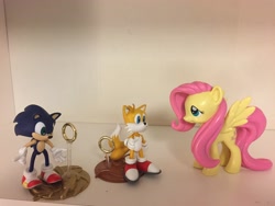 Size: 3264x2448 | Tagged: safe, artist:darthraner83, imported from derpibooru, fluttershy, crossover, funko, irl, miles "tails" prower, photo, resaurus, sonic the hedgehog, sonic the hedgehog (series), toy