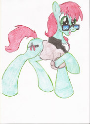 Size: 1700x2338 | Tagged: safe, artist:wyren367, imported from derpibooru, oc, oc only, oc:scratch build, colored pencil drawing, glasses, raised hoof, simple background, solo, traditional art, white background